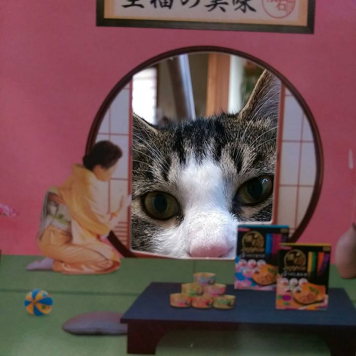 Bfb4f541 818b 4767 801f 4eff0d2d40ff