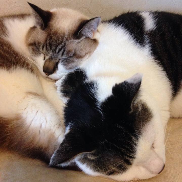 Bfb5193d cf93 4994 aa8b 88ccee2476a2