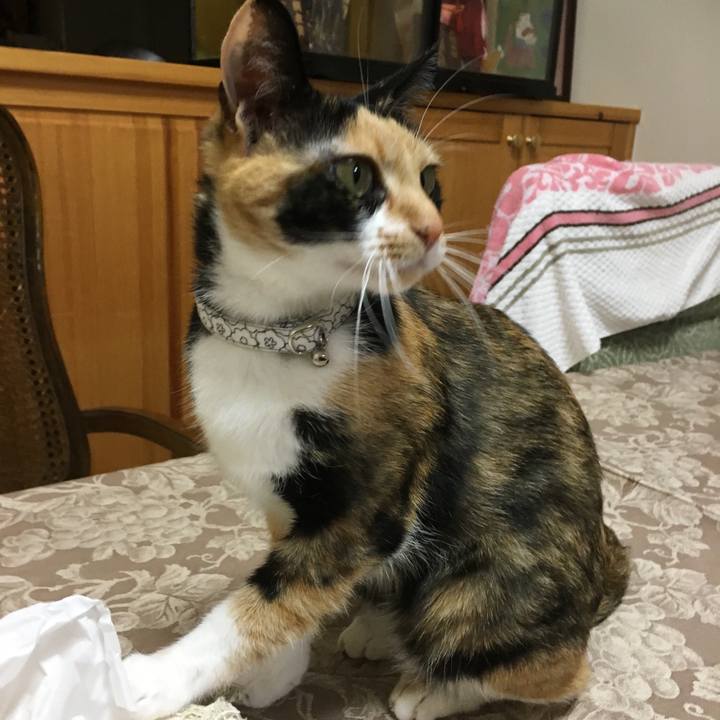 Bfb65d6f 31d6 46ea ab8b 20de47232eba