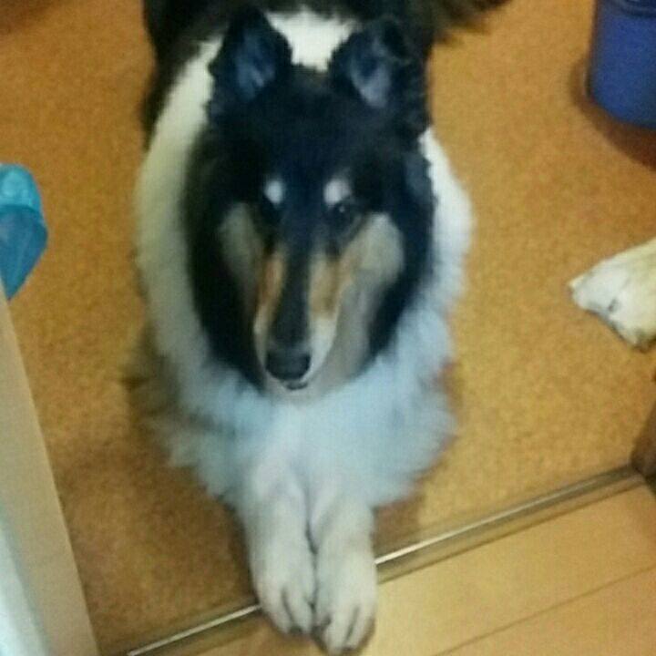 Bfb6a840 679d 4317 bd40 9f48e2151d57