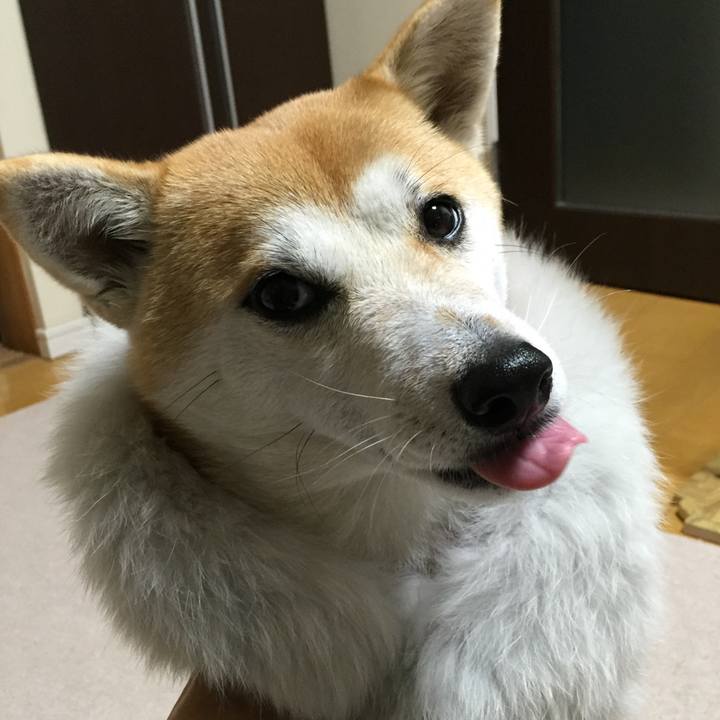 Bfb6cee7 5bcb 484f 99f0 0cea261f43b8