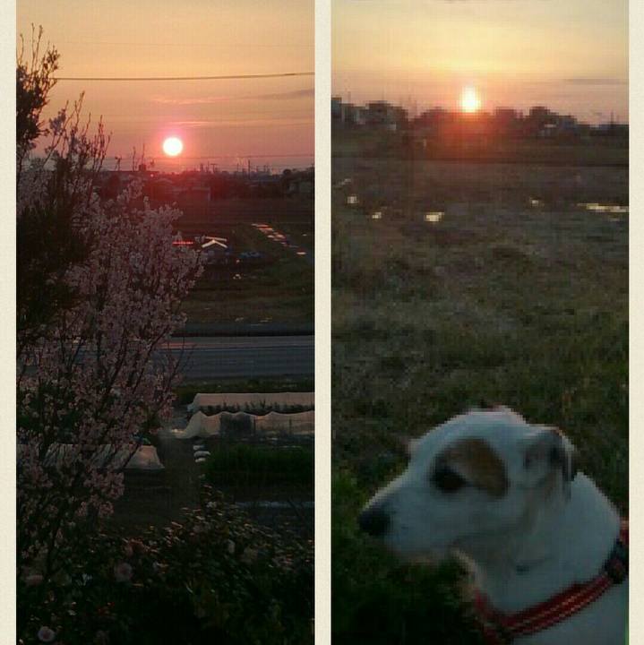 Bfb6f1bd bbdf 4e01 8323 5d9c6258433e