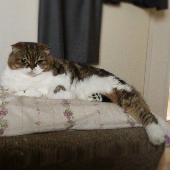 Bfb72031 330e 477b bc31 5942822f166f