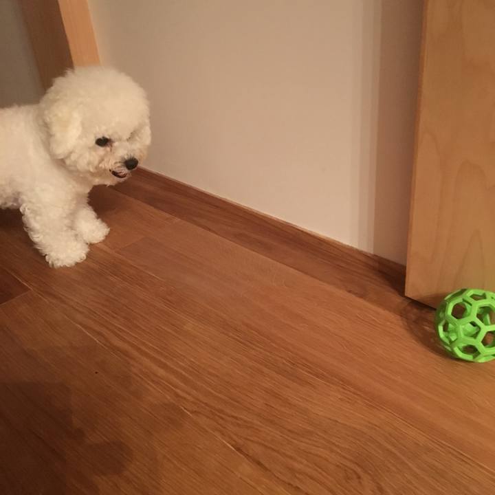 Bfb72ced 1988 437f ac7e b539a7ad25ec