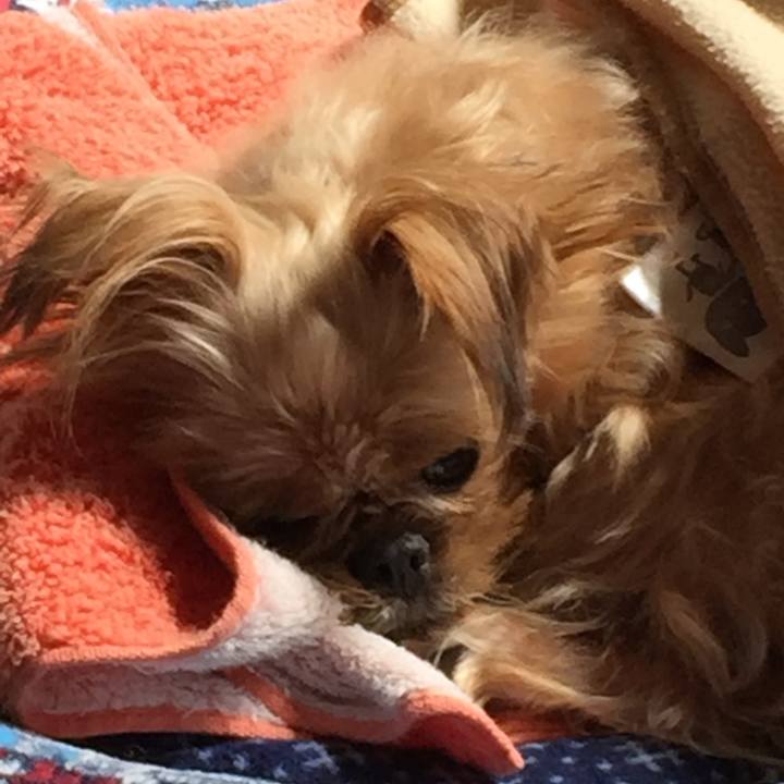 Bfb73b37 33b8 414e ba1e 704d0e985832