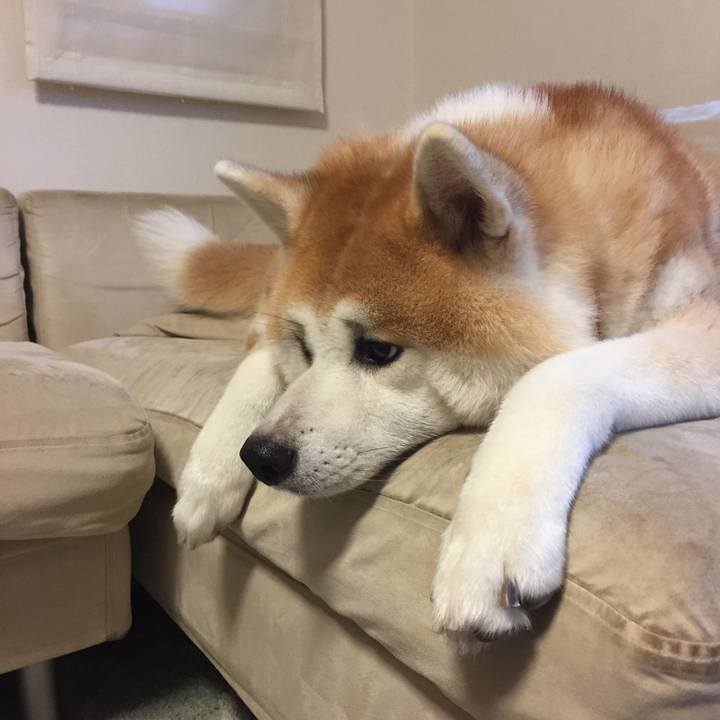 Bfb780c9 952f 4f8f b291 8e7a4c15977b