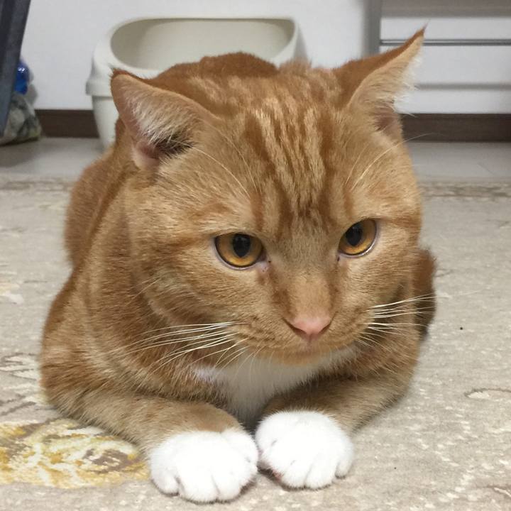 Bfb7c18b a545 4f06 8174 2a90bee4a254