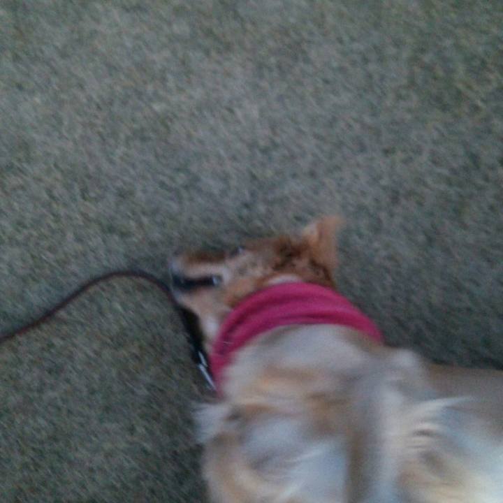 Bfb7f32c 6bbc 4dbe 91e4 6cec04dc1e55