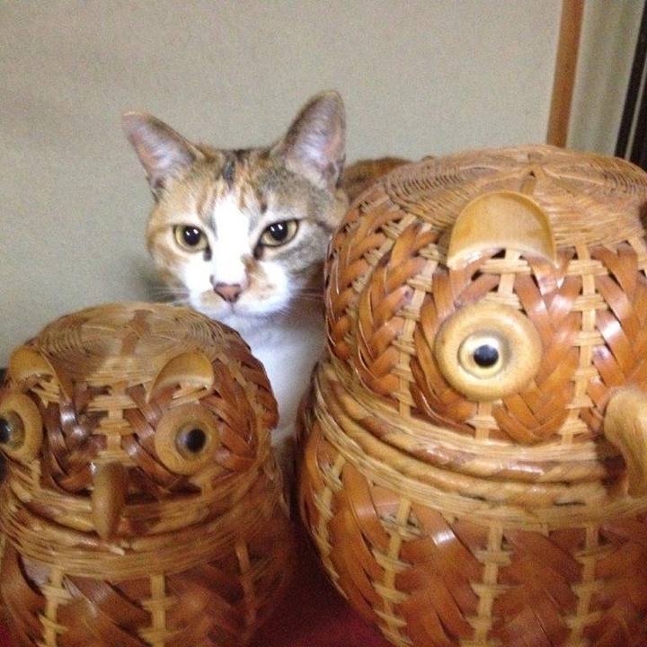 Bfb8ceb4 81c4 4438 8617 3fb0d7af56a4