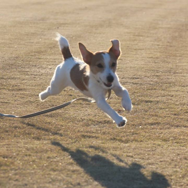 Bfb8eca4 558d 4c2c ab23 8316b274d03a