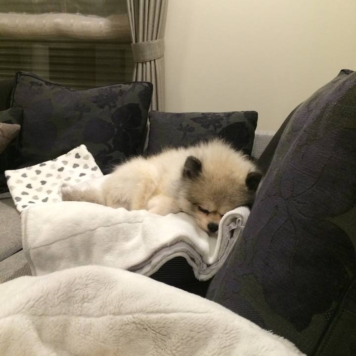 Bfb93c81 b305 4ecd 952b 45e1d1eb869f