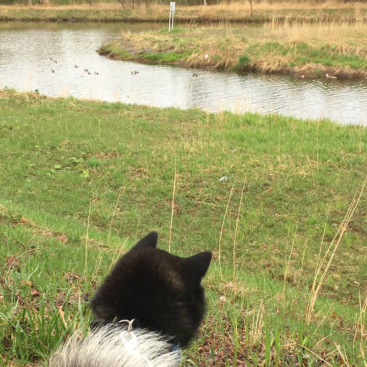 Bfb98c24 4a4e 40cb 824e 510bf85181d8