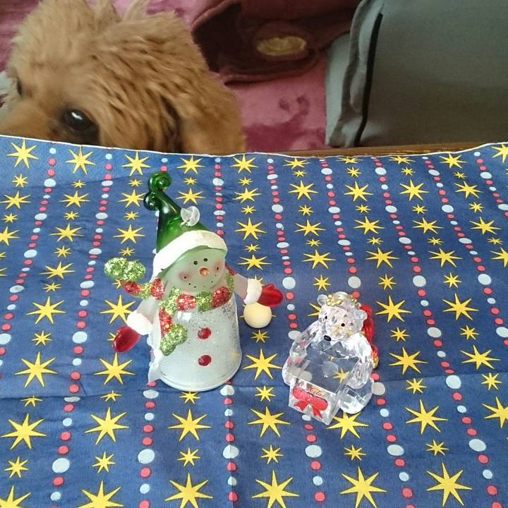 Bfb9c4ea 2163 46cf b332 a1c3183efc3b