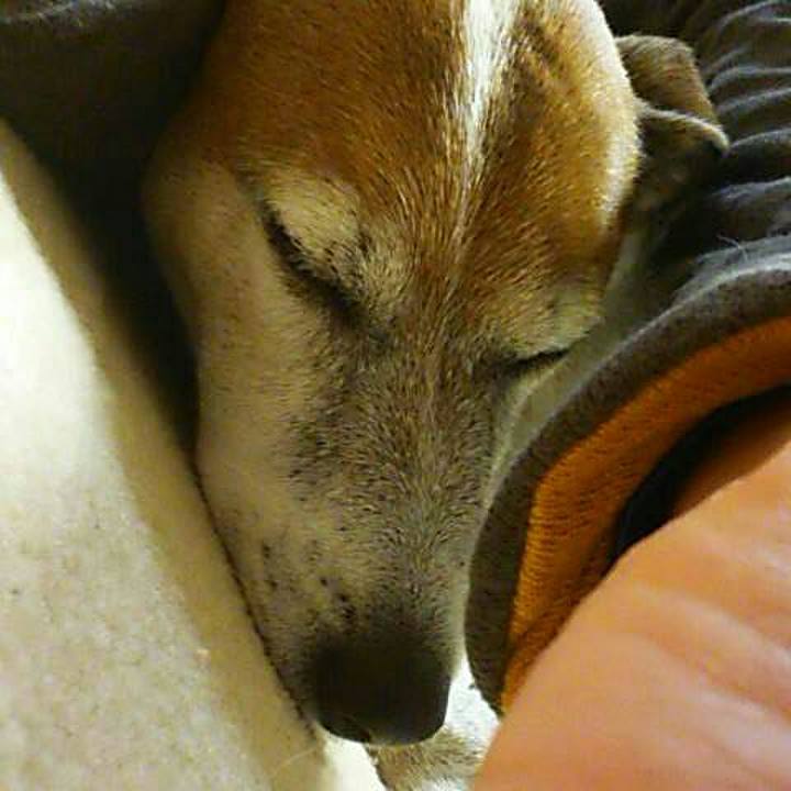 Bfba89a8 1ad3 4fd5 942b ea182f82352a