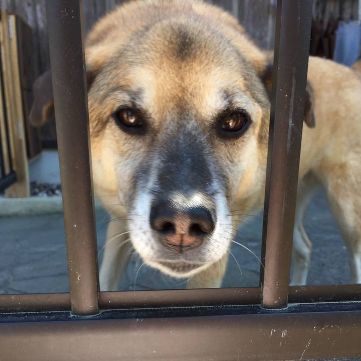 Bfbaa1e3 6f96 4642 a83b 9bdc396495d3