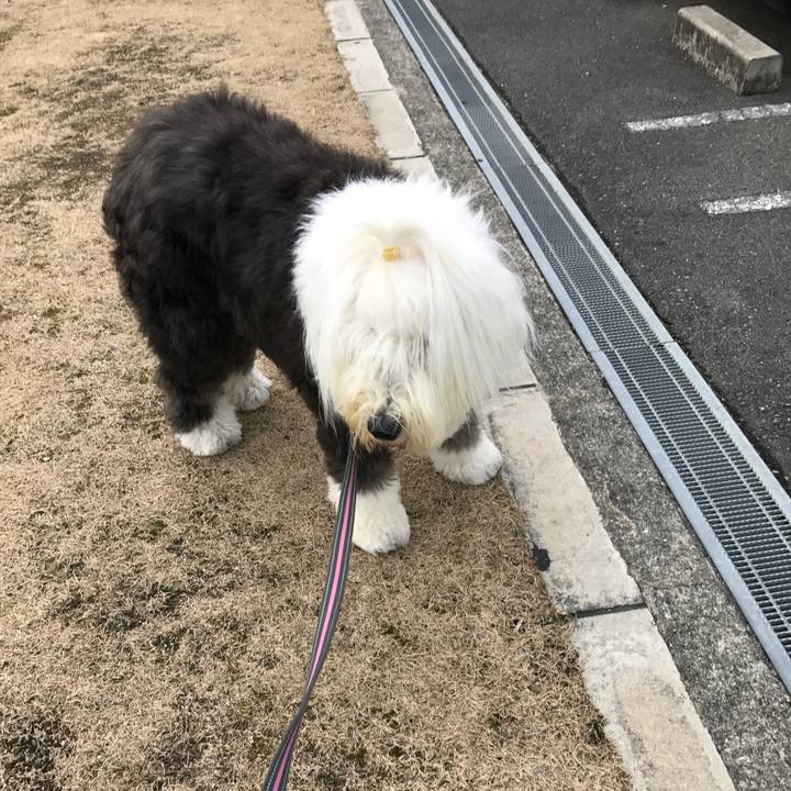 Bfbaf9d9 8c1a 49e0 9b0a 3c94adcc5be6