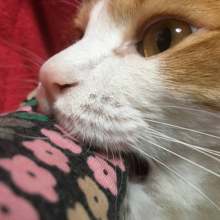 Bfbb2d7f e3a7 40dd 8008 11944ee2e0e8