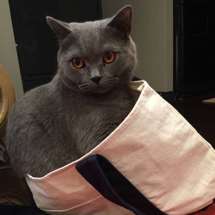 Bfbb70ee cdca 466a bf1c b7c15204214d