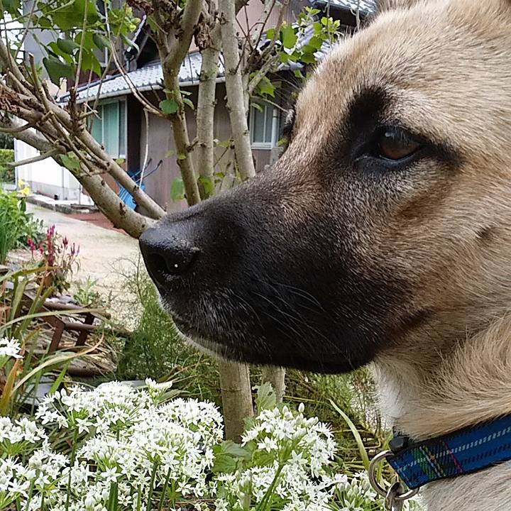 Bfbb8c17 7a51 4b50 95fc 03a37d64e460