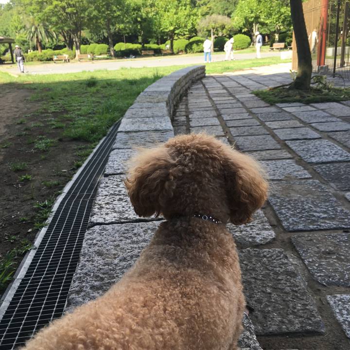 Bfbb9a25 c7c8 4f8c 9d6a 05250742a09e