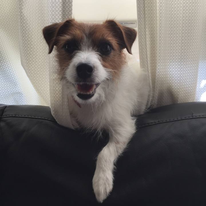 Bfbbcef3 4efc 47ea 8710 ba83313cd615