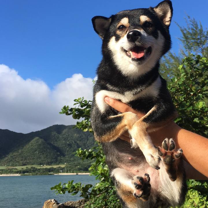 Bfbbe94f 4435 4739 9727 a1c0add9c432