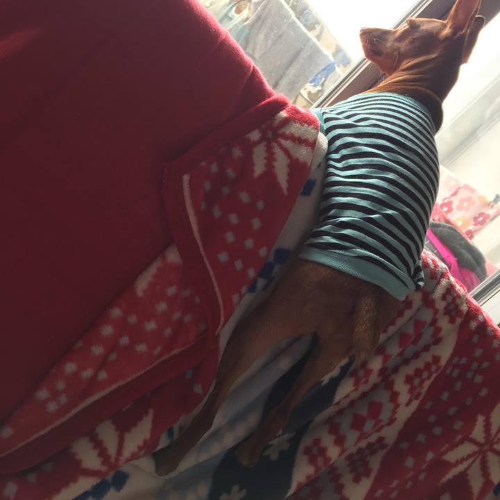 Bfbcf5a7 c690 4675 ad98 3ad64e297a58