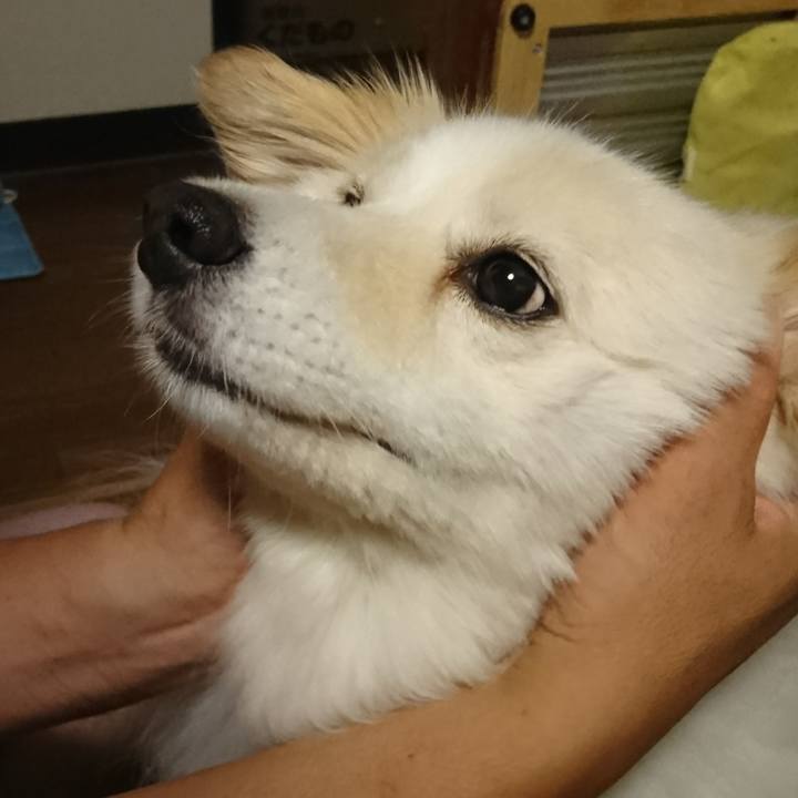 Bfbd2a02 8e54 432d ac9b 68309c492bfe