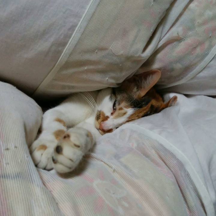 Bfbdf00f ca09 4d86 9c96 5a0753185989