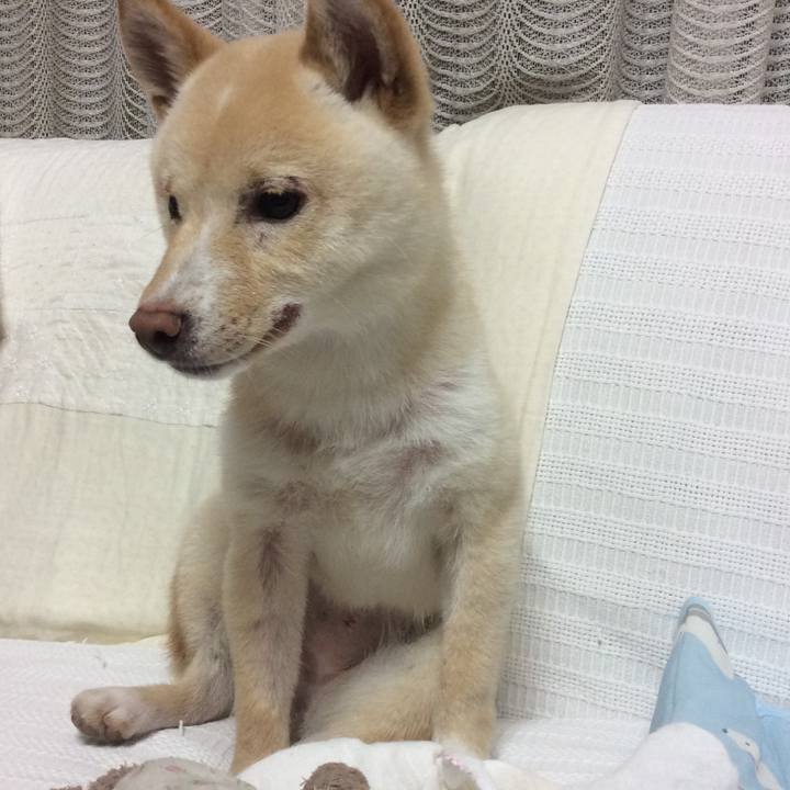 Bfbdf439 6d42 4d2b b9f6 72a1d78a9747