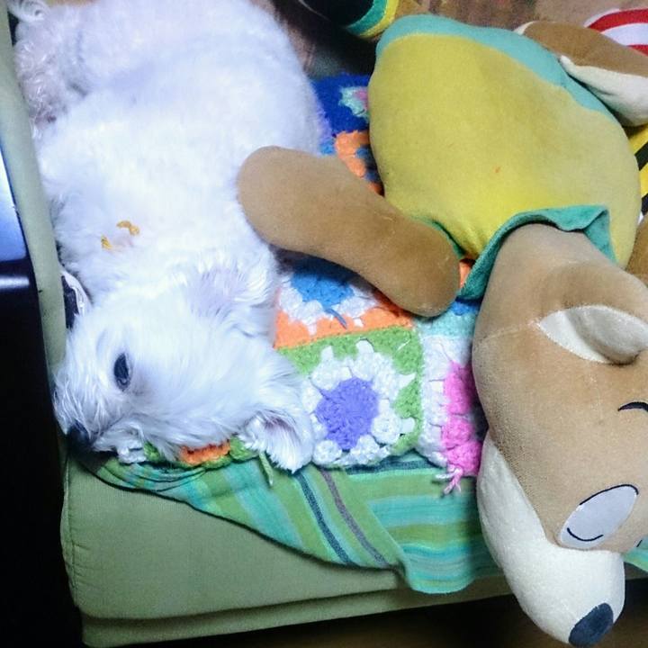 Bfbebc55 758e 42fa a9b1 c148e06763eb