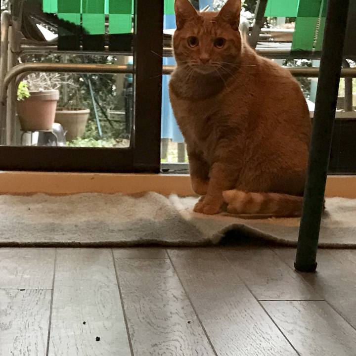 Bfbebe4e 8d89 4b6f b83e 64f9b1dc8259