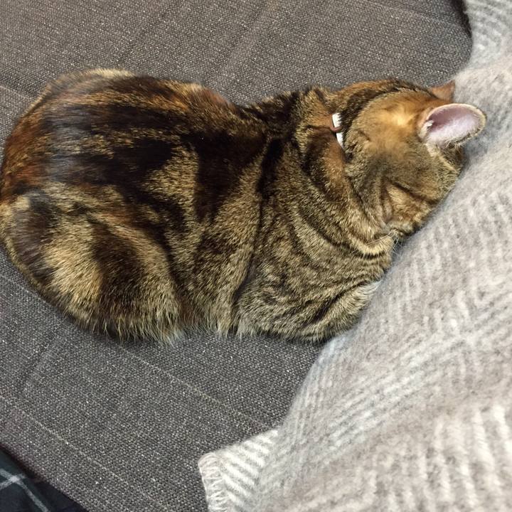 Bfbef54b f218 4067 902f 8d271faadf3c