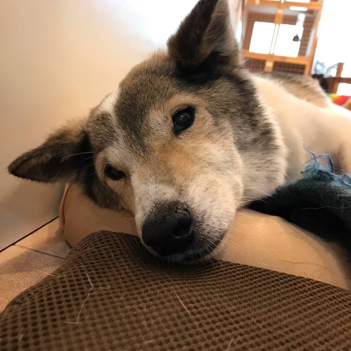 Bfbfa2b8 a3d0 4aec 863a b7a0211e0a48