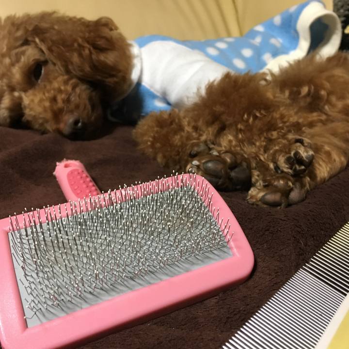 Bfc13145 3912 4db2 bdba 0fa8e77a53ff