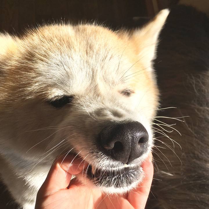 Bfc17b0f 269d 4521 82ee a68e5609f138