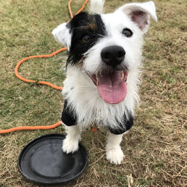 Bfc25475 9de8 486c ab25 3329a40099ce