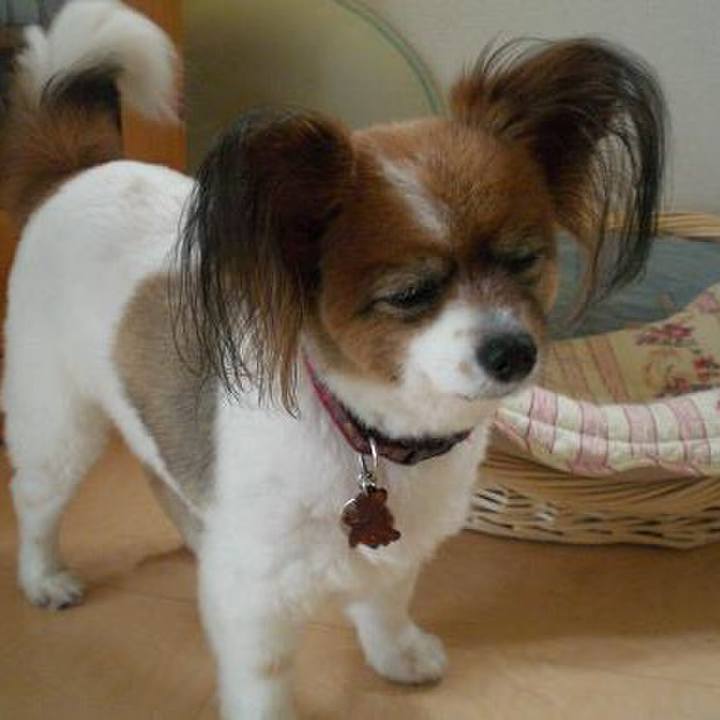 Bfc2592f bd4f 4101 955d 26ae0841aa84