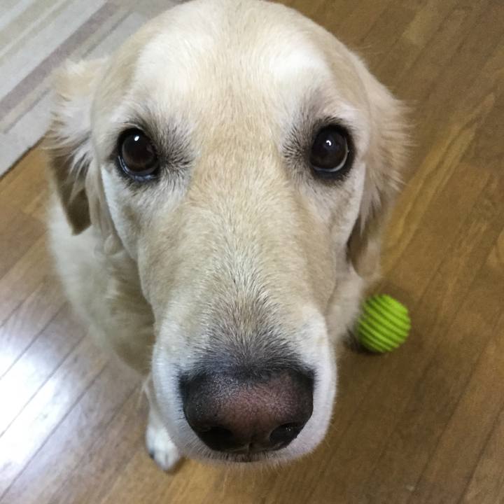 Bfc2dd46 6511 4415 af3c e3a5235bfc09