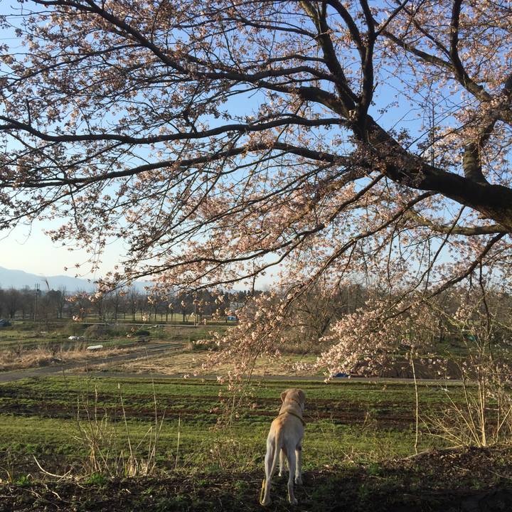 Bfc2ece3 783f 44e8 b53e 57afd94d799d