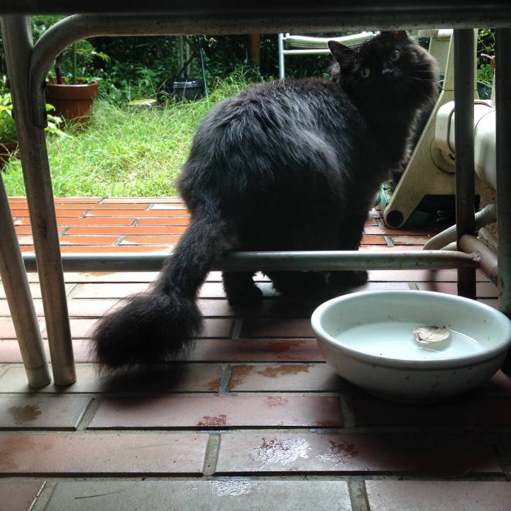 Bfc39f12 01d0 46e5 b477 f1d4c9641eca