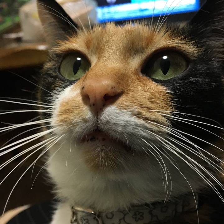 Bfc3bd8c dc87 4df9 9a19 8bc8f27e0e35