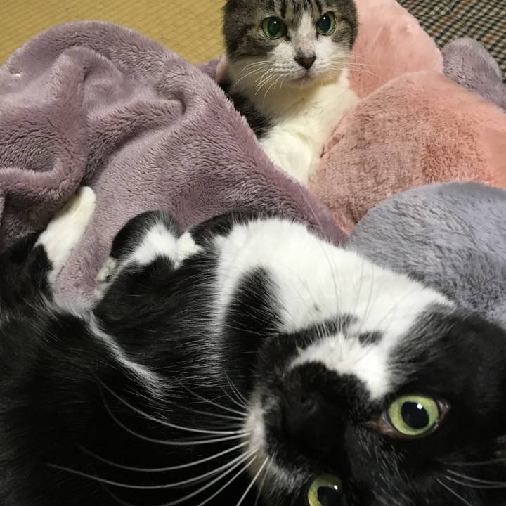 Bfc3d262 eca2 4ed2 9990 352edf8c8345