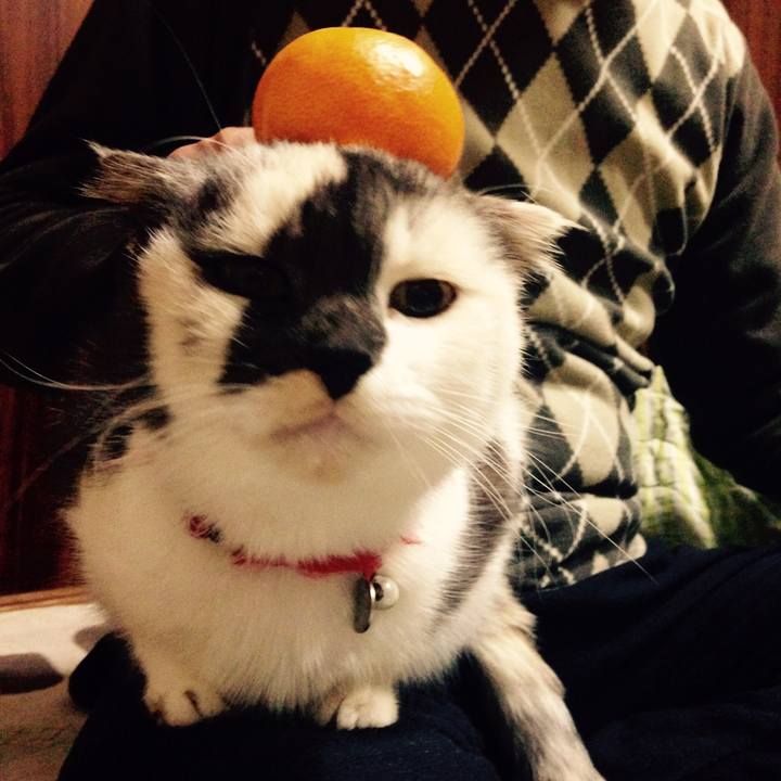 Bfc43f1d d3a2 4139 9661 4030bc64a74b