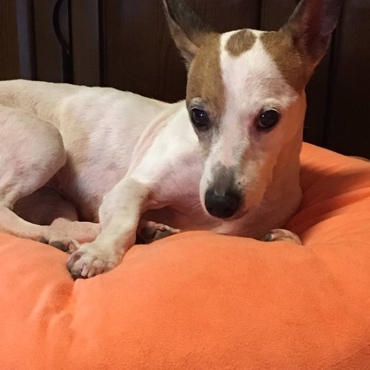 Bfc445d3 26ae 4595 9678 00210a538fdf