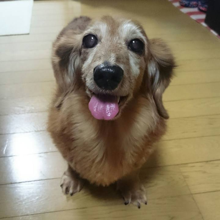 Bfc48e00 edb3 4496 9bcf 9dfcc693a400