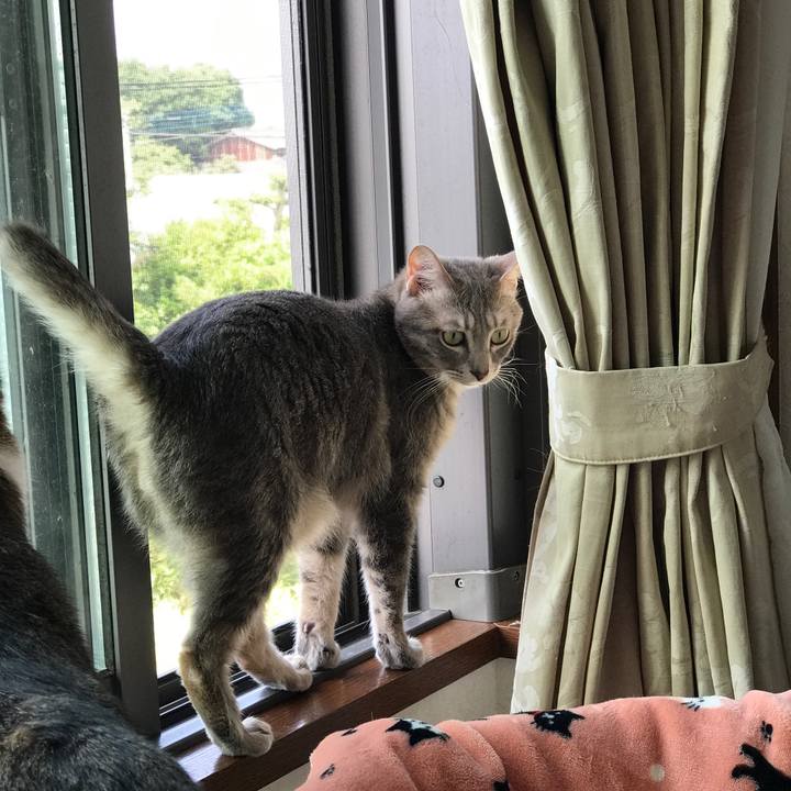 Bfc4b68c dd90 41af 8fe9 5bc847e79a0b