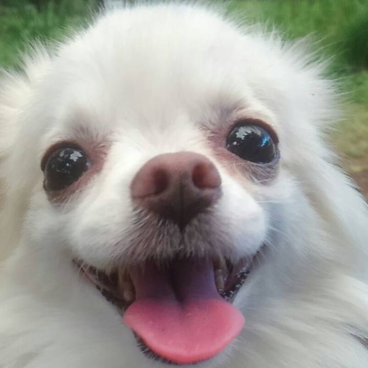 Bfc5cd58 da5f 45b8 9e8d edf3d51a7b61