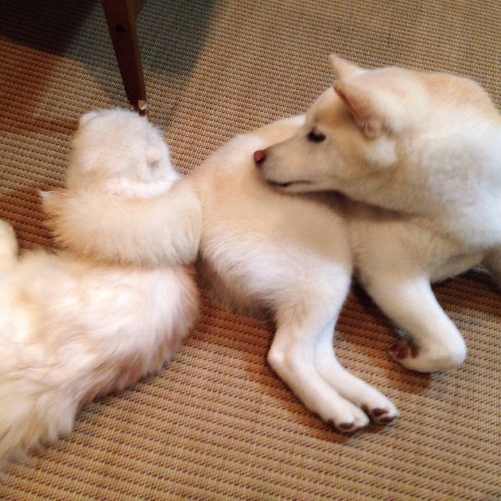 Bfc6e980 0364 4a9b 9324 19eaddbad5ce