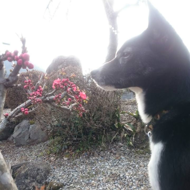 Bfc710b6 6fce 43ed 8439 e72f58474701